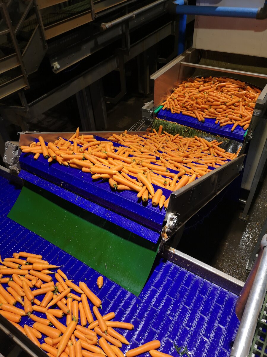 Modular belt conveyor detail view