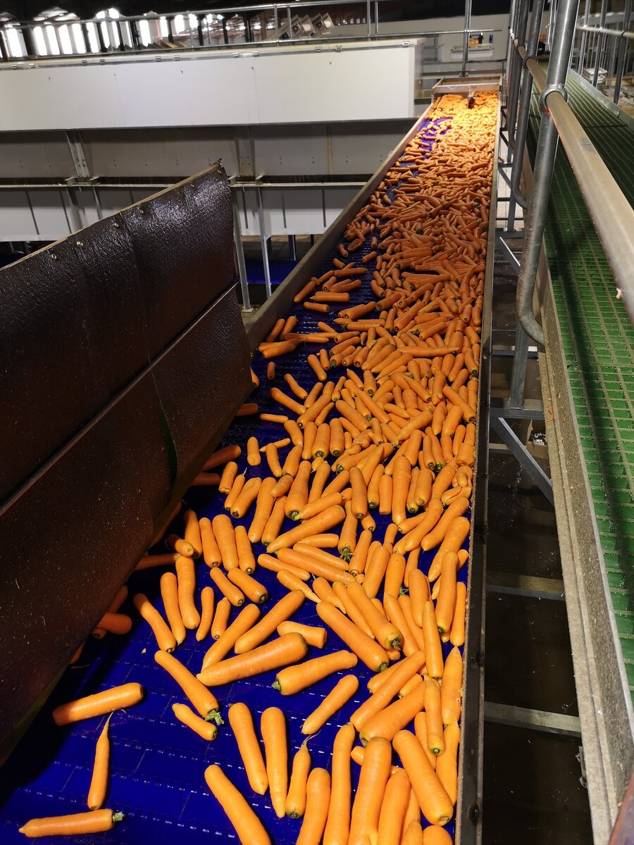 Food-grade modular belt conveyor system