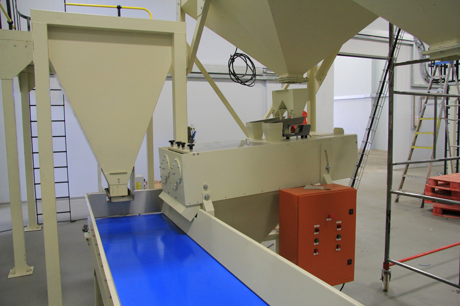Peanut blancher feeding onto belt conveyor