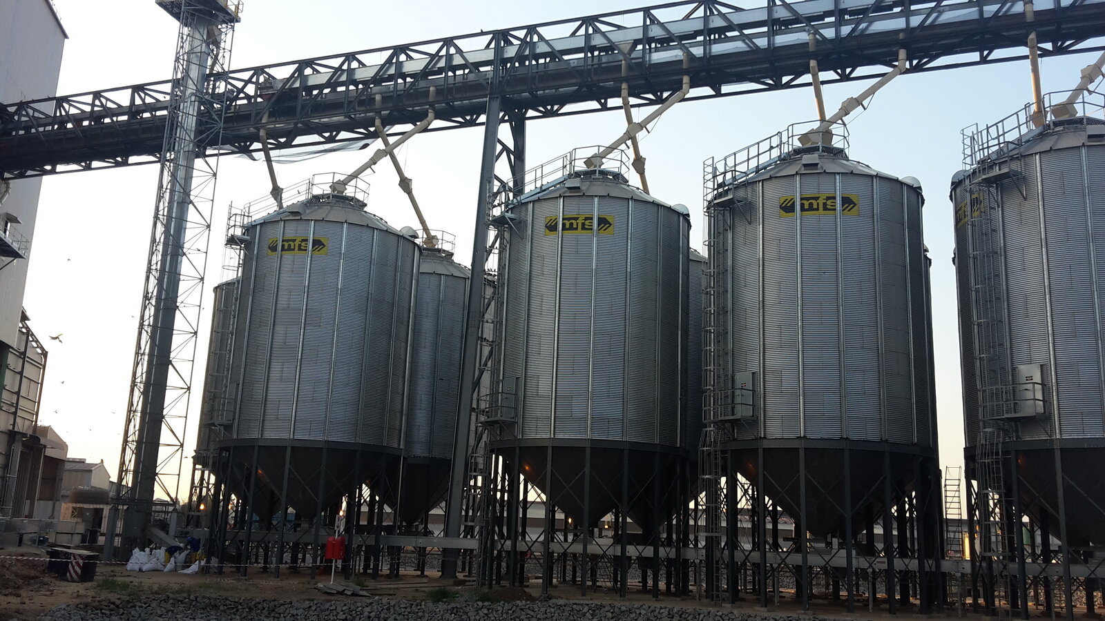 Storage bins above a grain processing plant